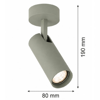 1-osaline reguleeritav pinnapealne kohtvalgusti Amara – salveiroheline, RAL 7033